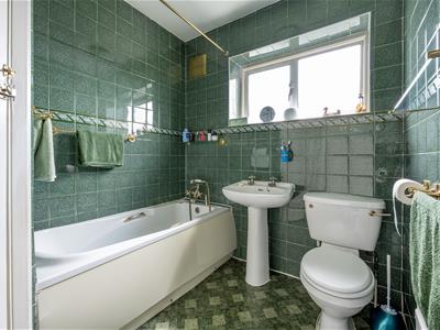 Picture 19
